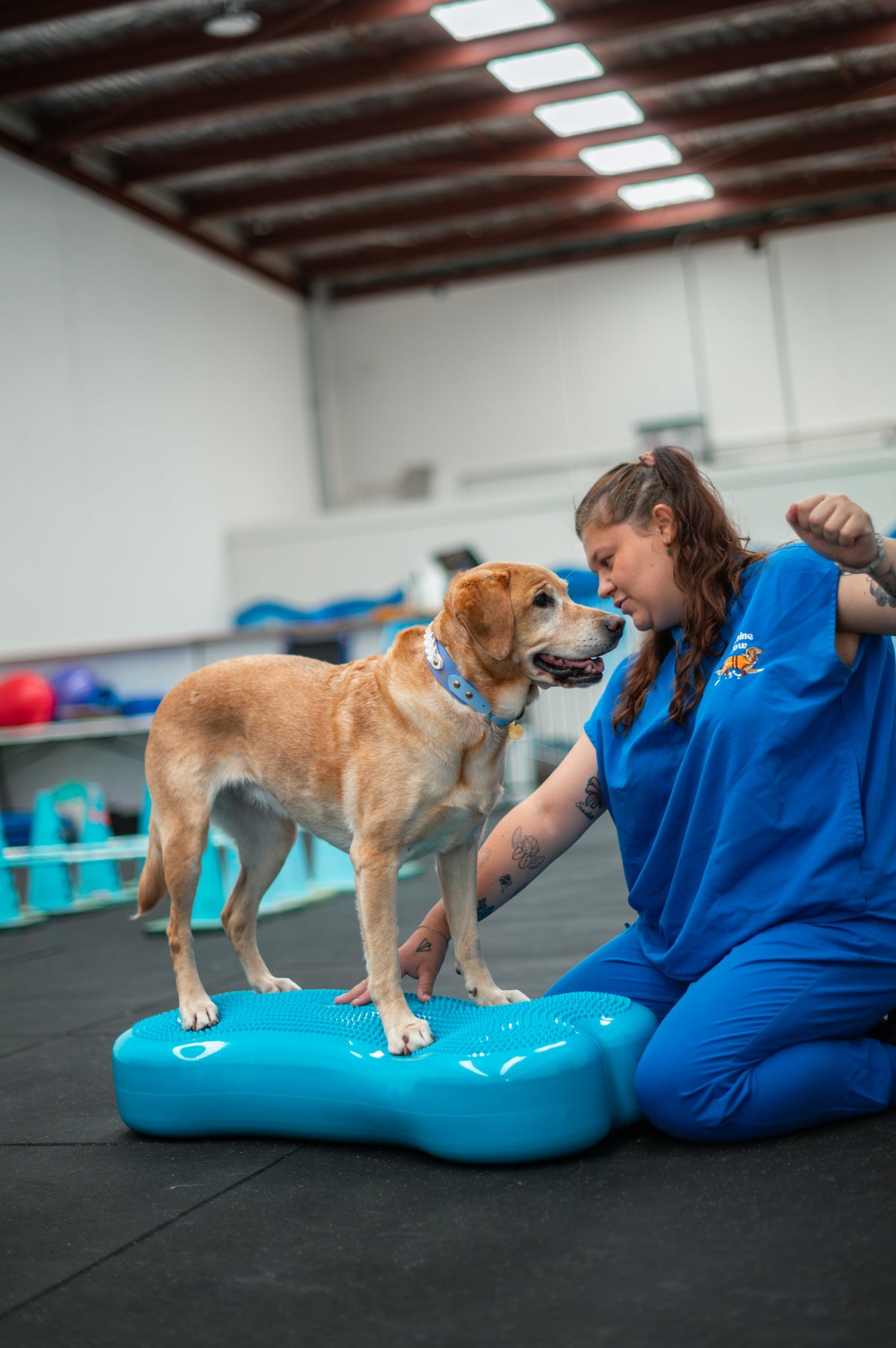 Rehab and Fitness Equipment