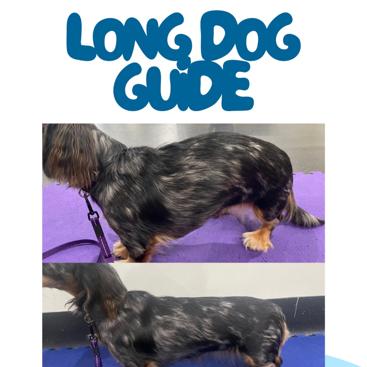 Long Dog Guide