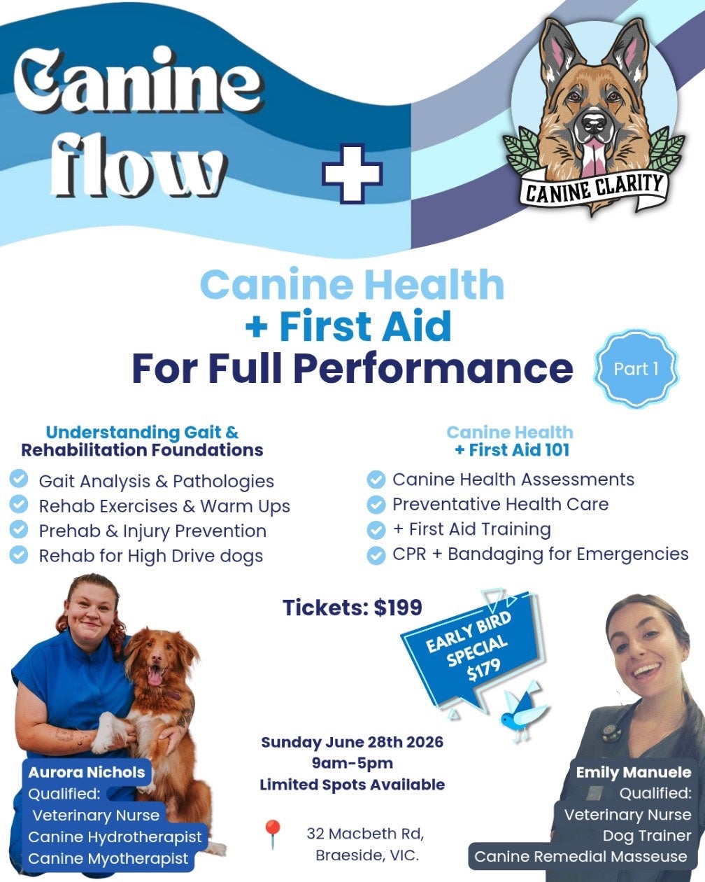 Canine First Aid & Gait Essentials