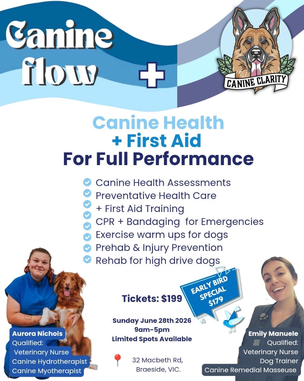 Canine First Aid & Gait Essentials