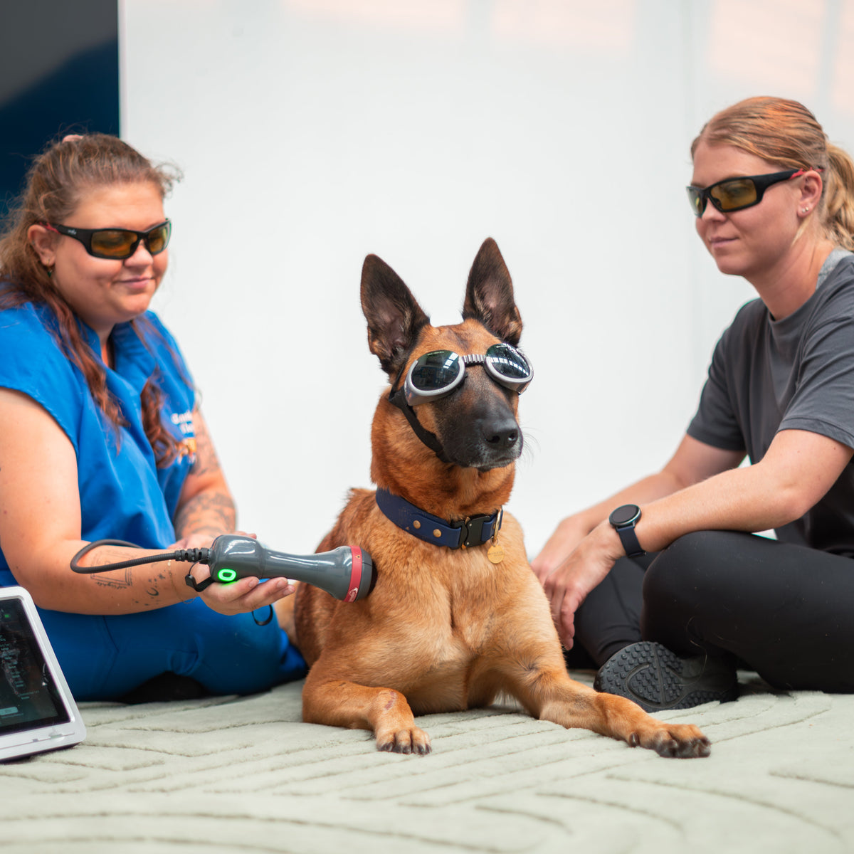 Laser Therapy 10-Pack
