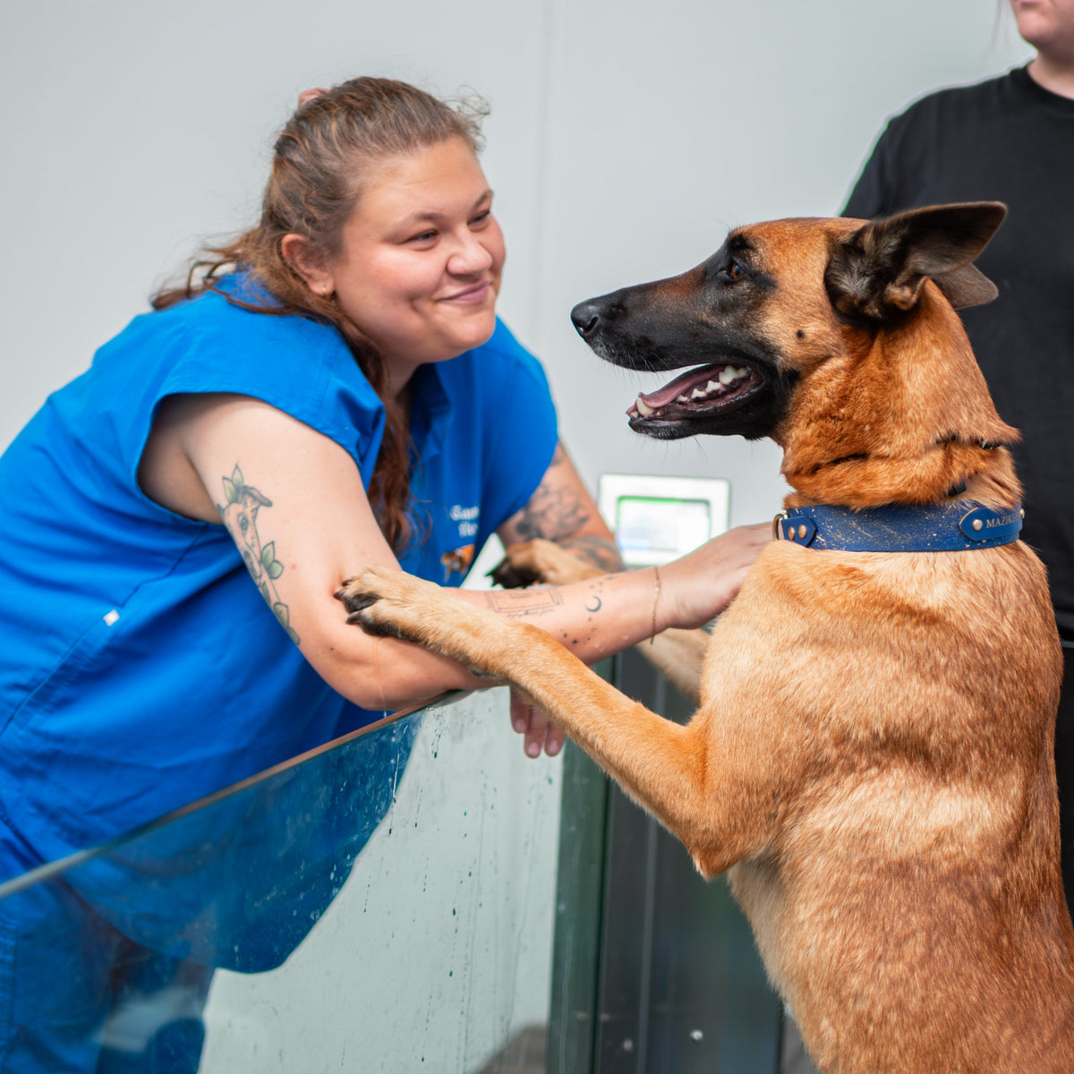 New Client Assessment + Hydrotherapy