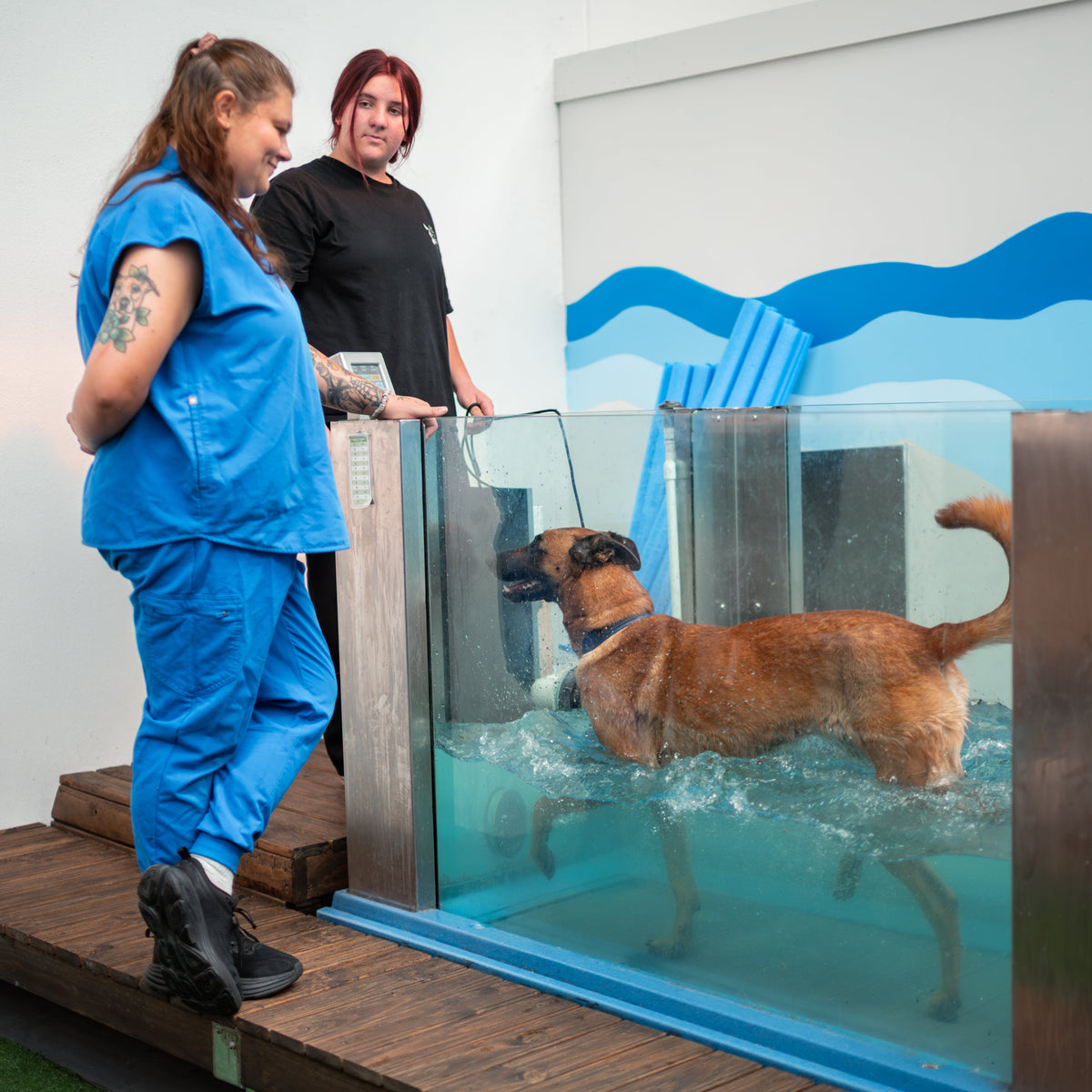 Hydrotherapy 5-Pack