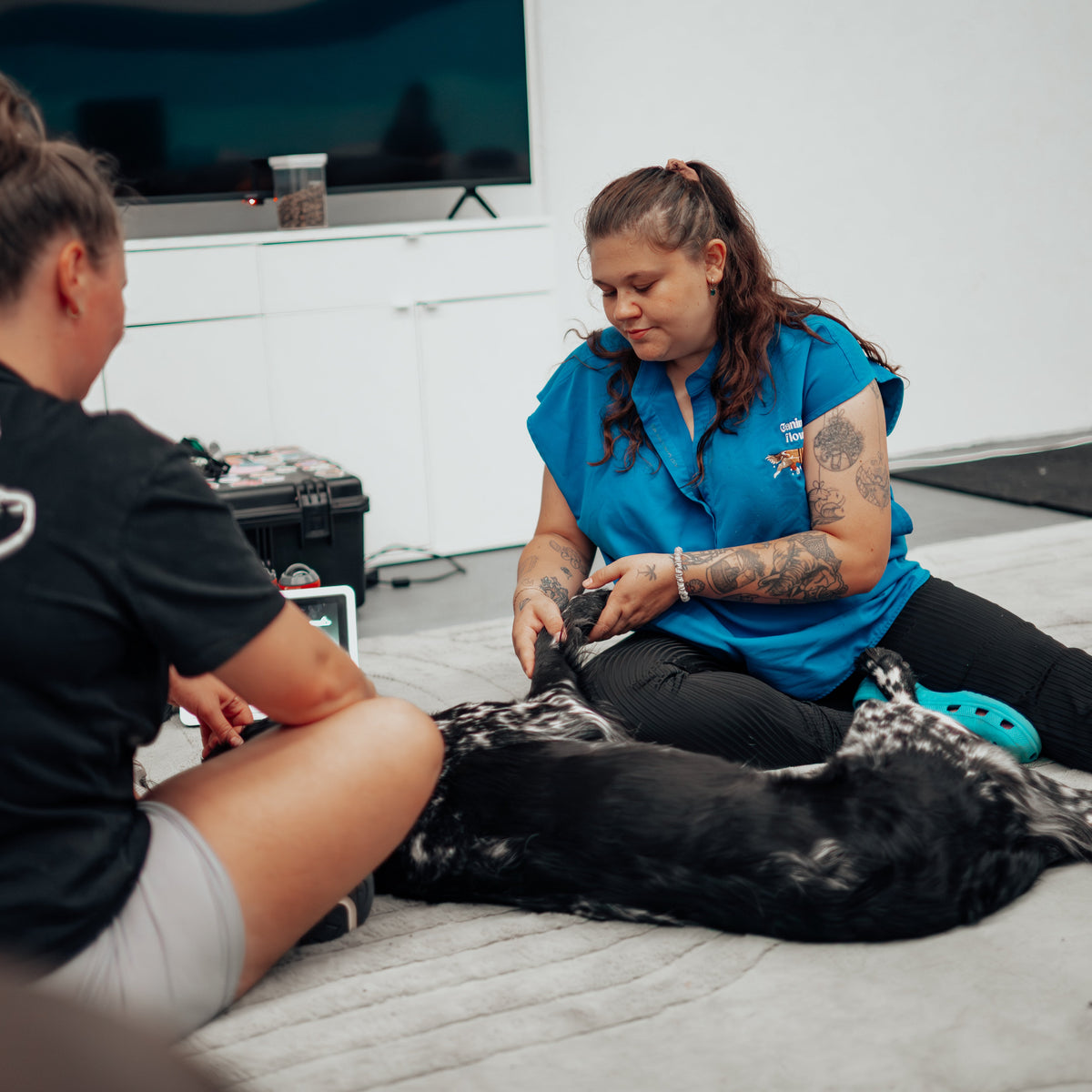 New Client Preventative Care & Performance Assessment