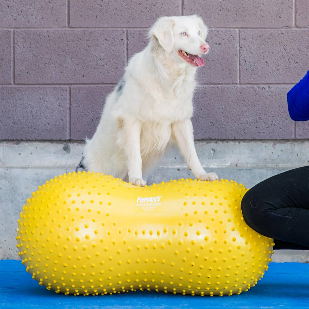 FitPaws Trax Peanut