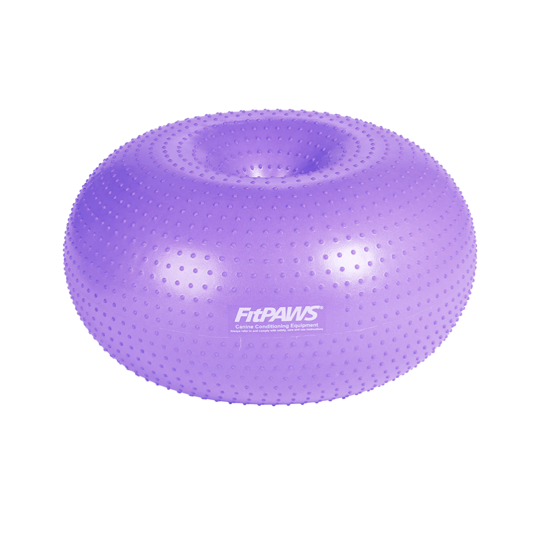 FitPaws Trax Donut