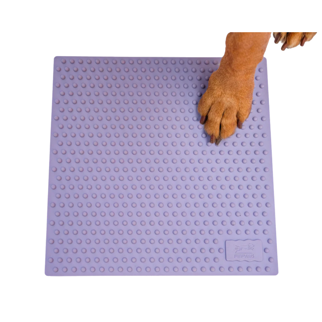 FitPaws Trax Targets (Set of 2)