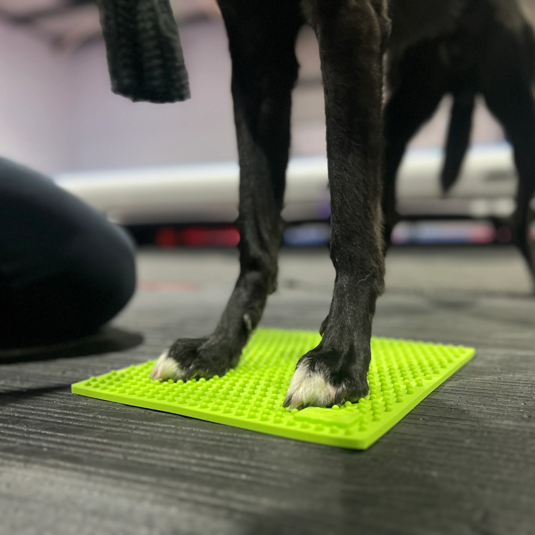 FitPaws Trax Targets (Set of 2)