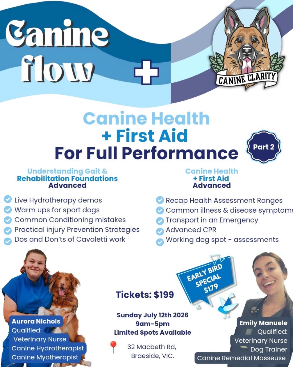 Canine Performance, Conditioning & Rehabilitation Part Two