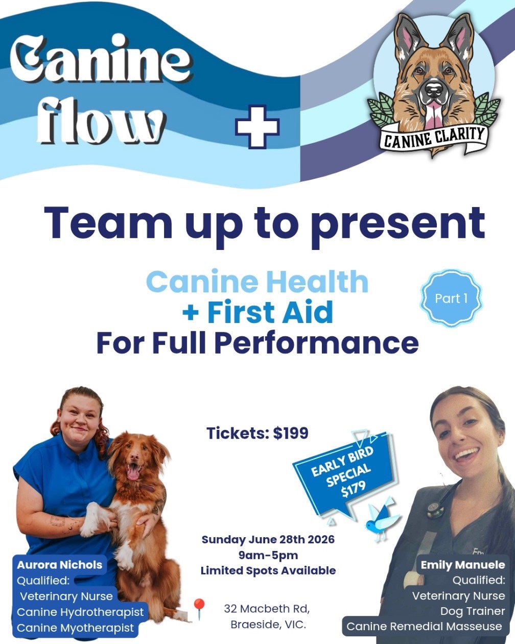 Canine First Aid & Gait Essentials