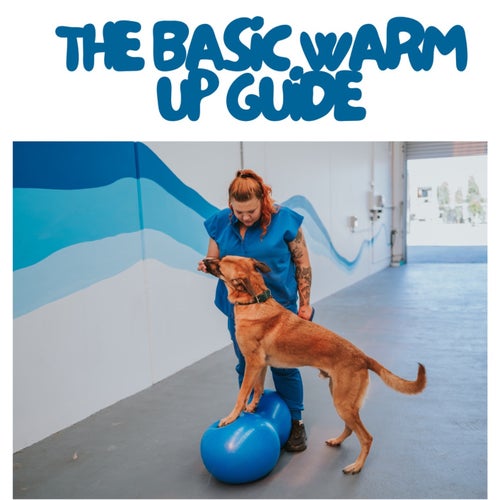 Warm Up Guide
